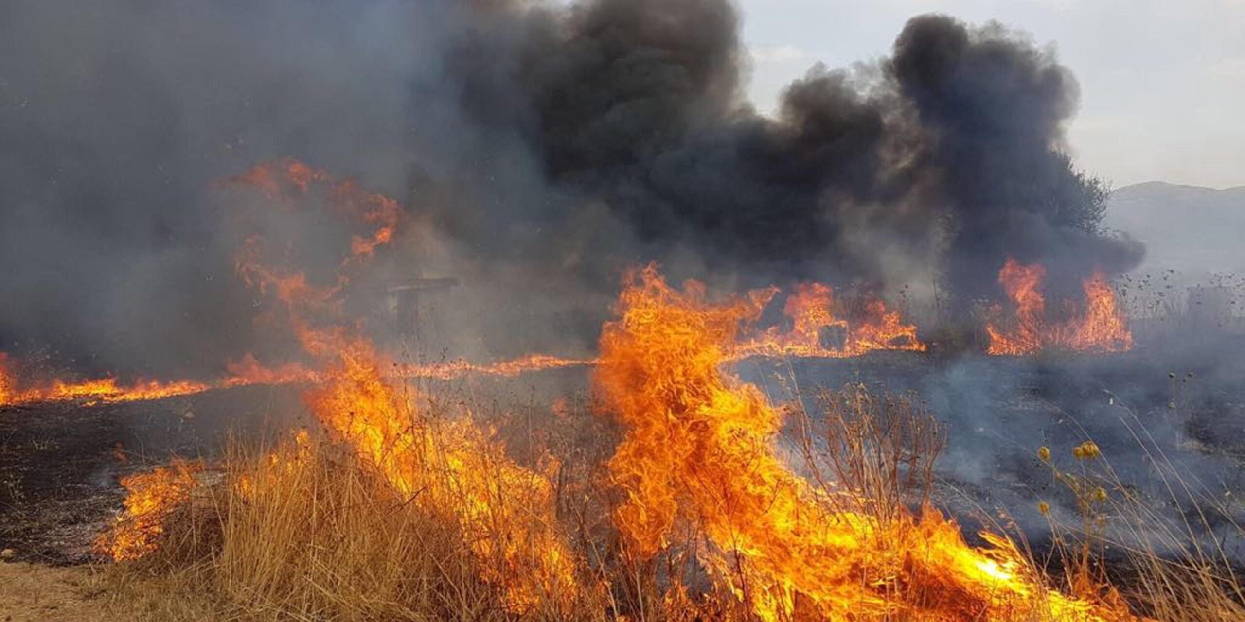 Emergenza Incendi. WWF Sicilia Centrale: “Dai sindaci dei Comuni del Nisseno poca attenzione sui rischi degli spettacoli pirotecnici”