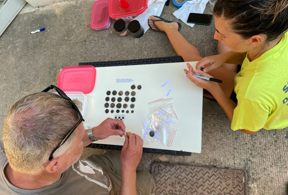 Sicilia. Archeologia, nuovi ritrovamenti dal sito della battaglia delle Egadi: i fondali di Levanzo scrigno prezioso
