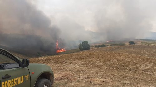 Incendi in Sicilia, mezzi in volo dall’alba. Schifani: «Situazione in miglioramento, niente danni alle persone»