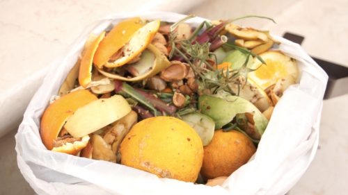 Sommatino. Per il Ferragosto la raccolta differenziata dell’umido sarà effettuata regolarmente