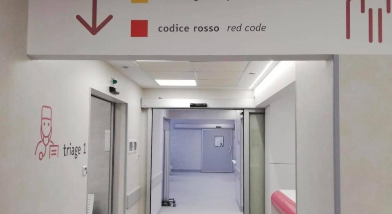 Cade dal cassone di un Ape e batte violentemente la testa: muore dopo due giorni di agonia giovane promessa del calcio