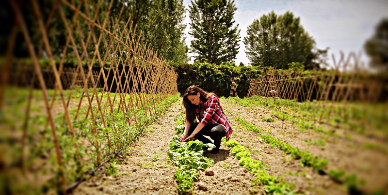 Sicilia, Coldiretti: quasi un’impresa su 4 è guidata da donne