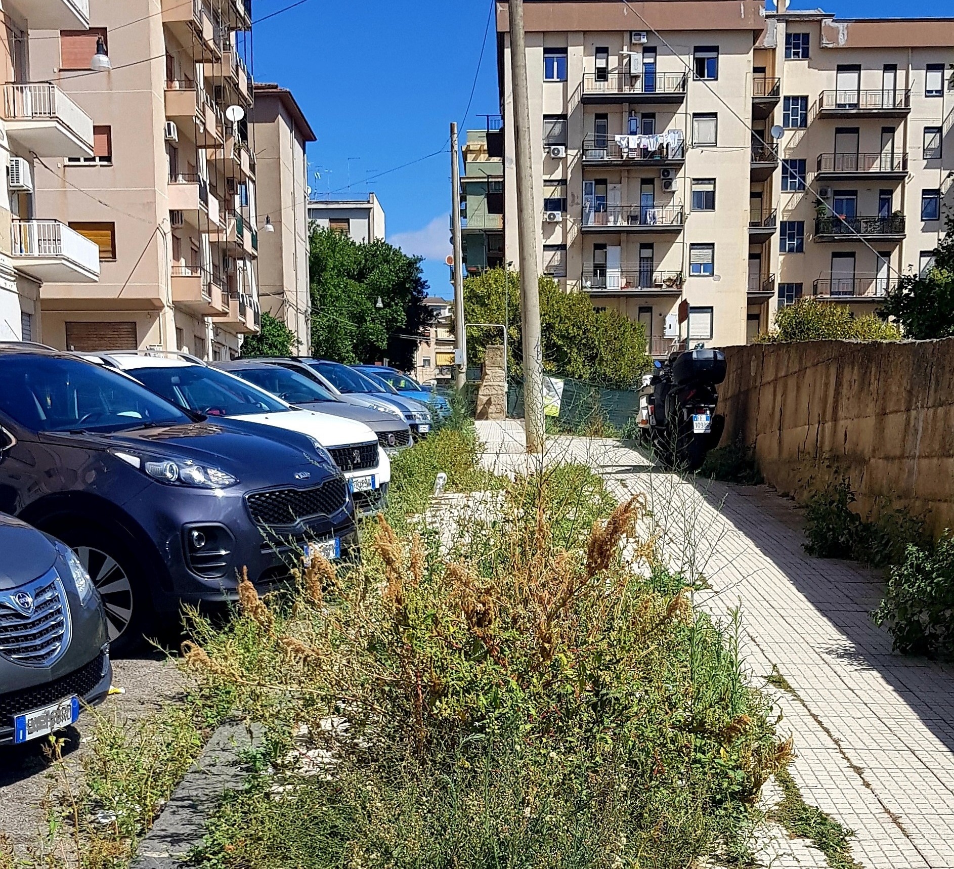 Caltanissetta. Leandro Janni (Italia Nostra Sicilia): “A distanza di un anno in via Lazio le erbacce ancora là”