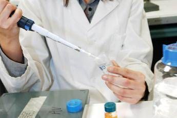 Glioblastoma, anticorpo rallenta progressione e riduce iperattività cerebrale