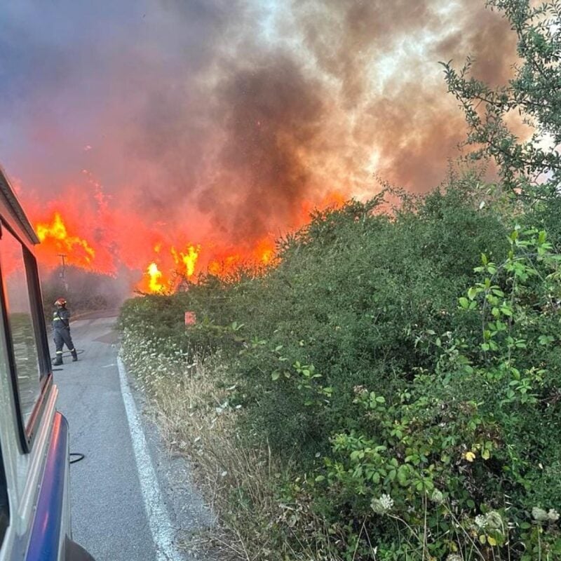 A Cefalù 42enne muore inghiottita dalle fiamme nel tentativo di salvare i suoi cavalli