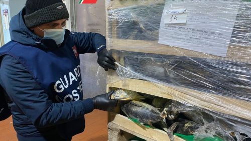 Sicilia, nel 2022 sequestrate oltre 129 tonnellate di prodotti ittici