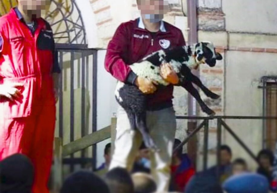 Animali in premio in una lotteria dedicata a San Francesco: Oipa scrive al sindaco e al Questore per farla revocare