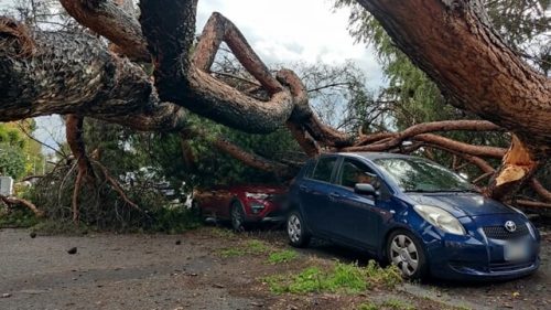 Maltempo, finanziati 17,5 mln interventi danni dalla Regione Sicilia