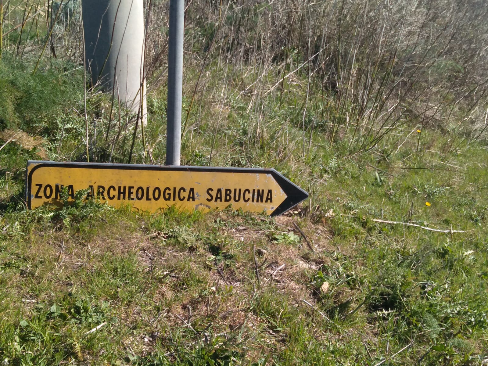 S.O.S. Sicilia Centrale presenta video -denuncia sul grave stato di abbandono delle aree archeologiche nel Centro dell’Isola