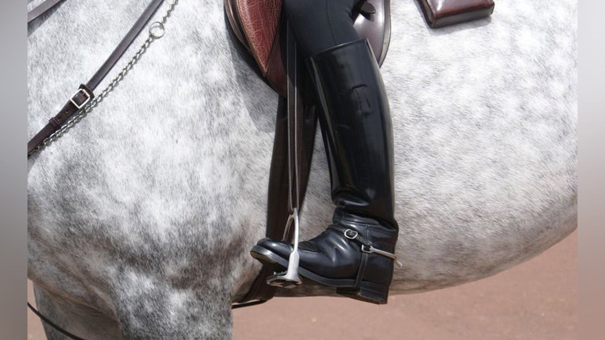 Amazzone cade da cavallo e muore in un concorso di equitazione - il ...