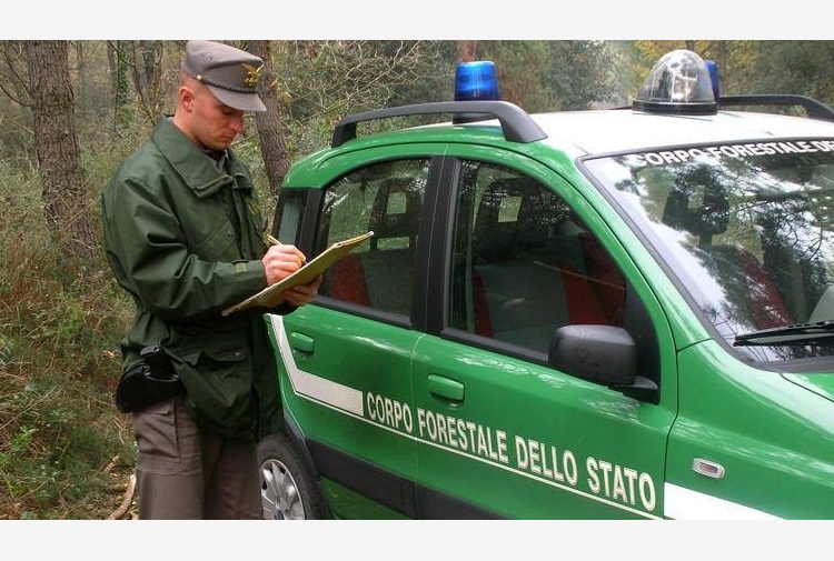 Sicilia. Concorso Corpo forestale, prove scritte dal 24 al 27 ottobre