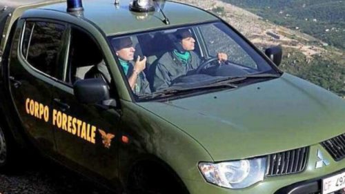 Sicilia, concorso Corpo forestale, prove scritte dal 24 al 27 ottobre. In 20.000 candidati a Roma
