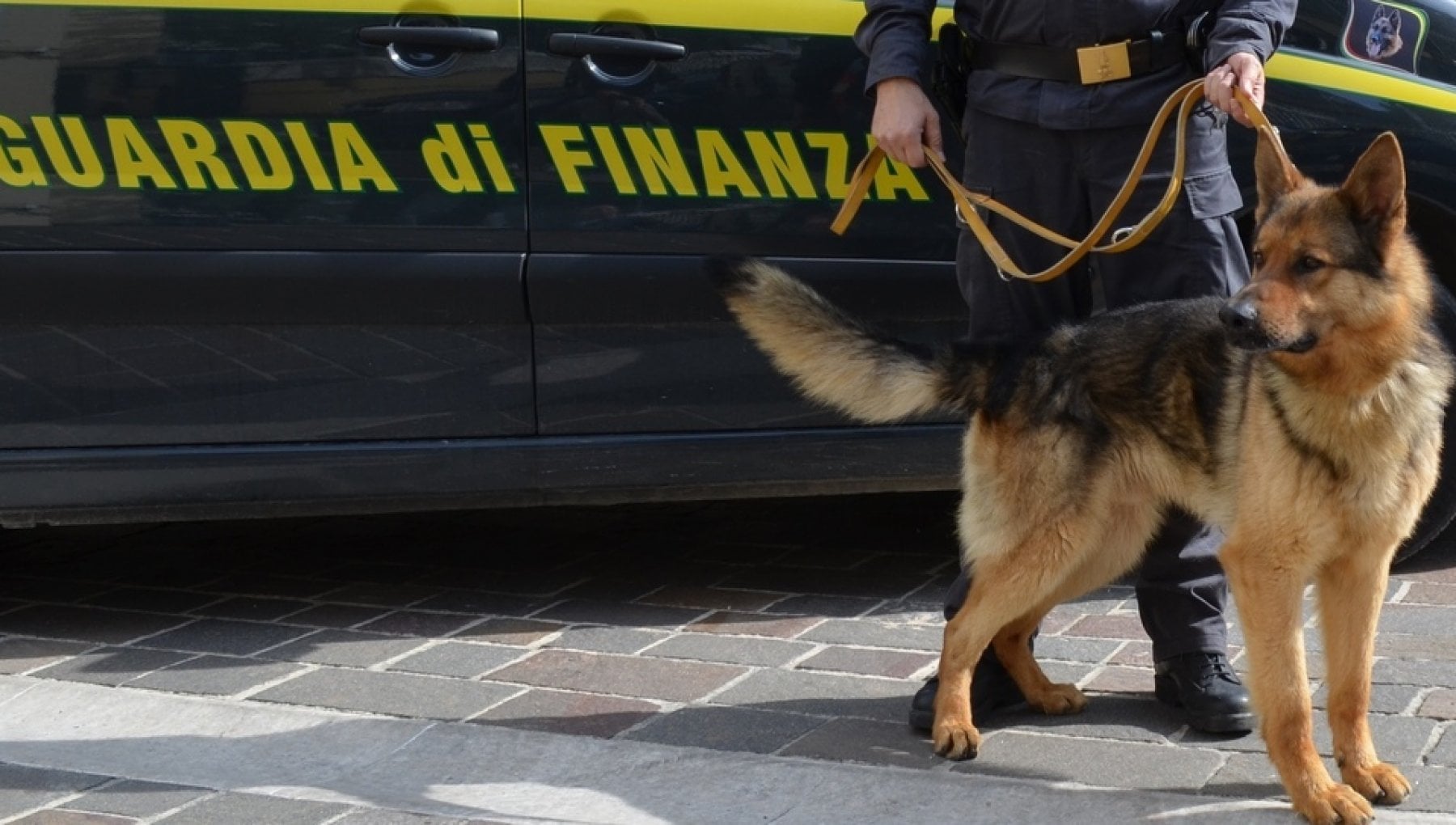 Sicilia. Sorpreso con 600 mila euro nel borsone, fermato da cash dog