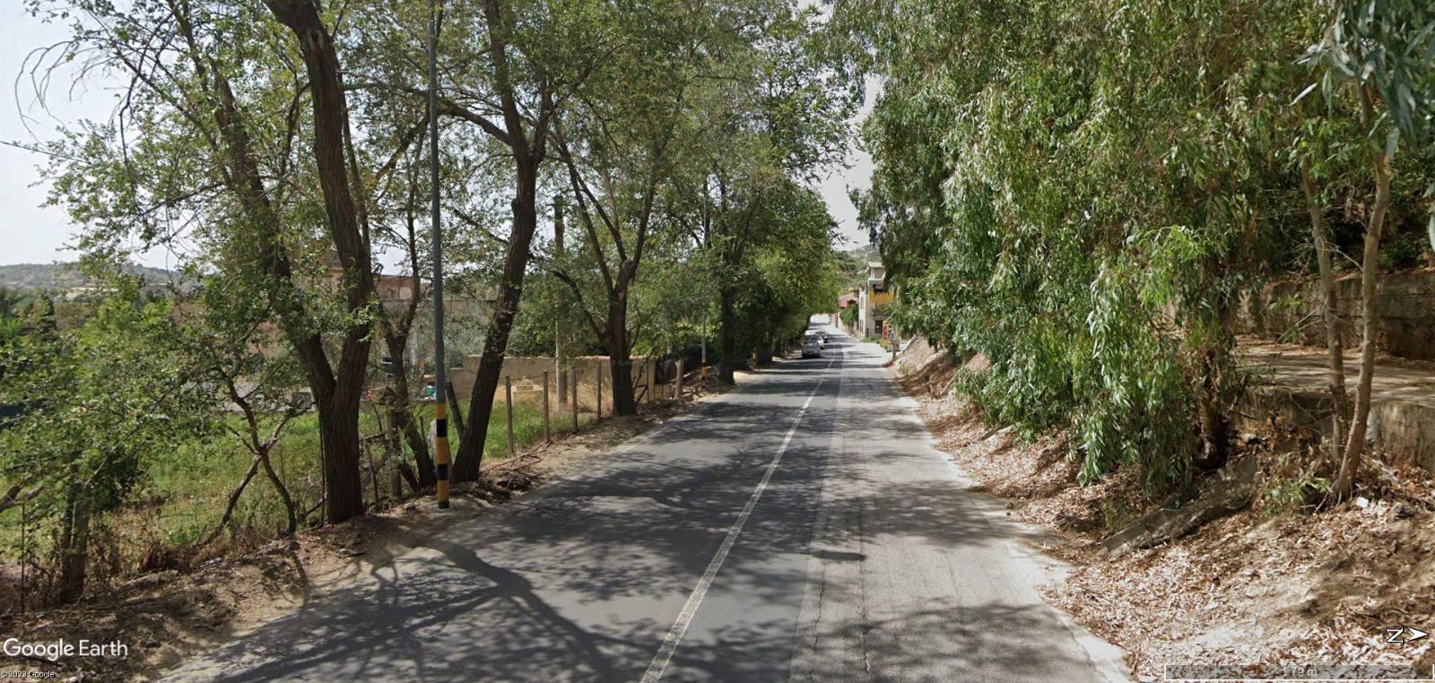 Caltanissetta. Leandro Janni (Italia Nostra Sicilia): “Contrasteremo il taglio e il depauperamento del patrimonio arboreo”