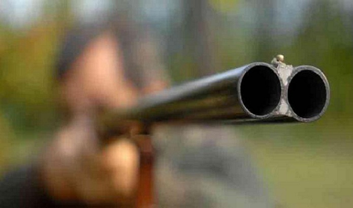 Sicilia, Gatto colpito da fucilata e ucciso da cani, la denuncia degli animalisti