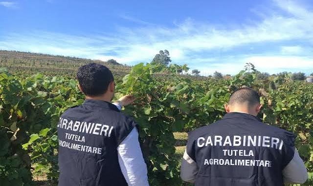 Sicilia, truffa all’Unione Europea: 7 misure cautelari