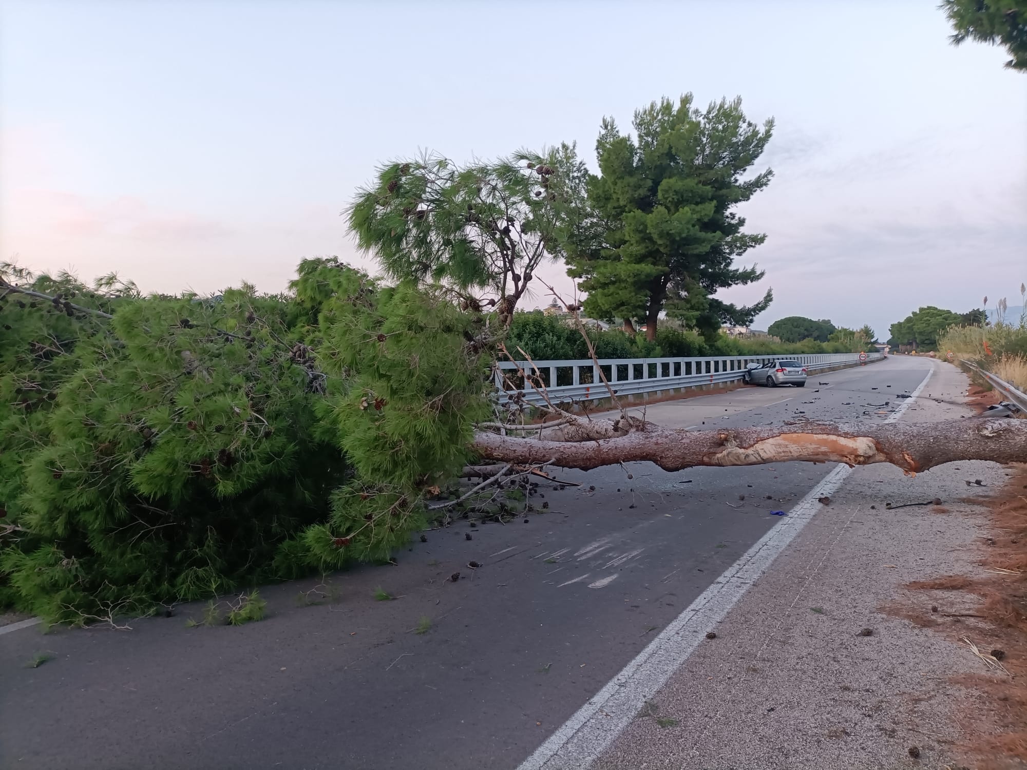 Morto sull’A20 Messina-Palermo per un albero piombato sull’auto: i familiari denunciano il Cas