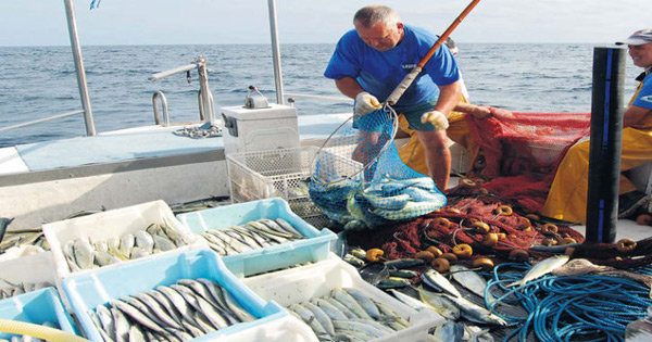 Pescatori Lampedusa, ‘gasolio carissimo valutiamo di restare a terra’