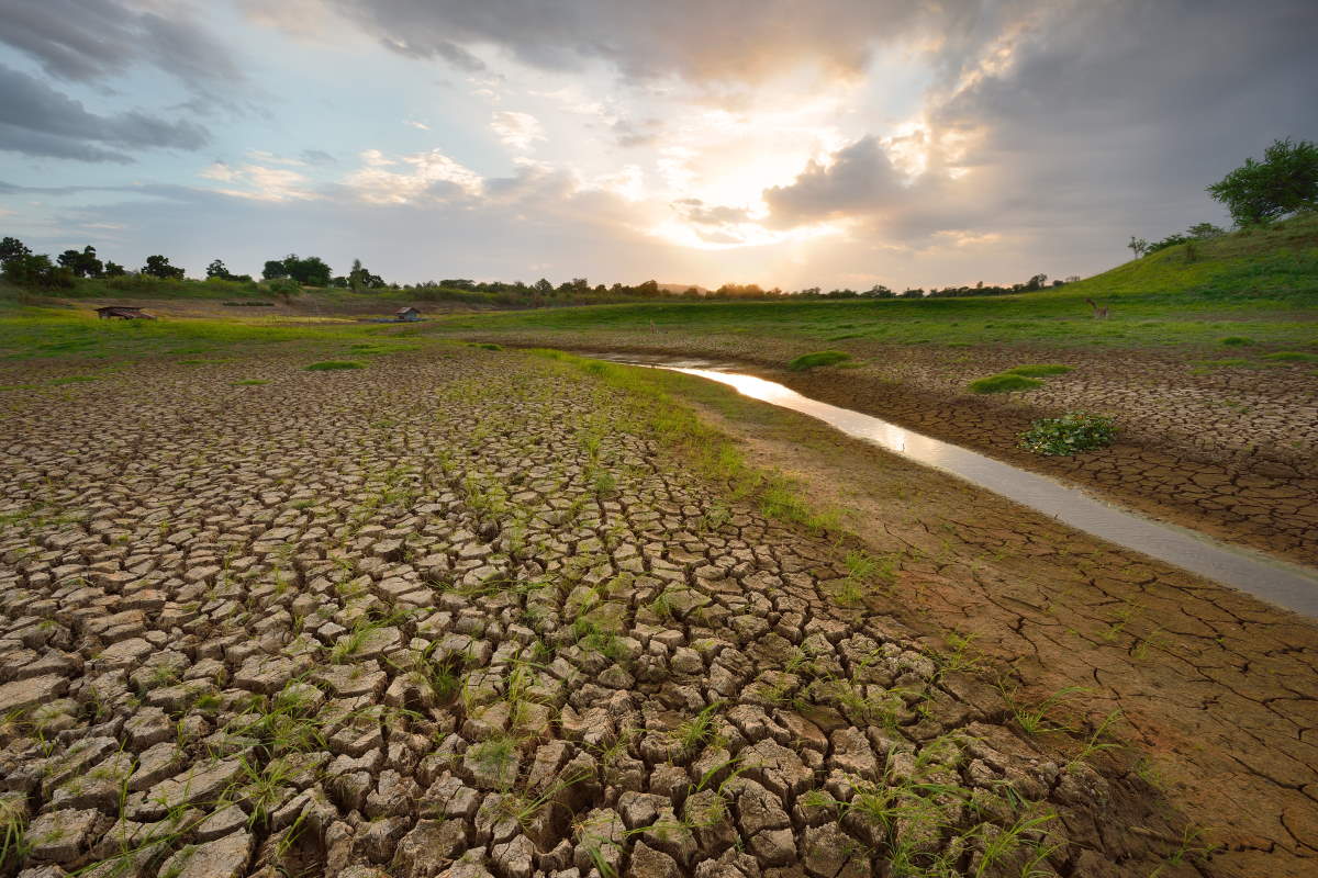 Sicilia, “contratti di fiume”:  l’autorità di bacino sarà il referente unico per la piattaforma