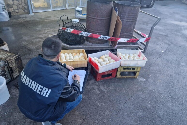 Affumicava latticini con la combustione dei rifiuti: denunciato dai Carabinieri