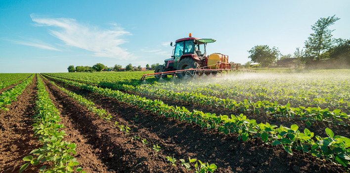 Rendi più competitiva la tua azienda agricola con i nuovi bandi per la diversificazione delle attività finanziati dal PSP 2023-2027