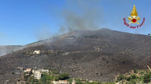 Incendi in Sicilia. La denuncia del Wwf in un dossier: “Quanto accade è conseguenza di anni di gravi errori della nostra politica”