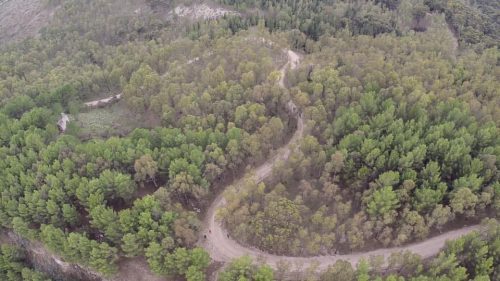 Il gruppo “San Cataldo ripartiamo insieme” a disposizione degli escursionisti che vogliono esplorare bosco di Gabara