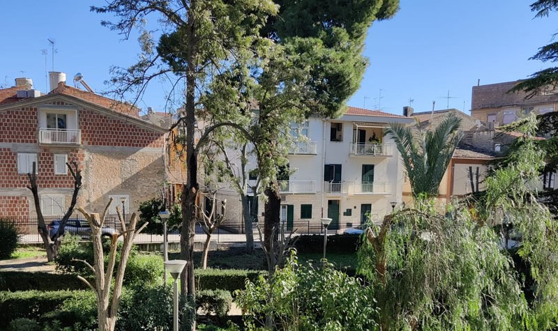 Santa Caterina. Effettuata potatura e messa in sicurezza di alberi presenti in ville e strade comunali