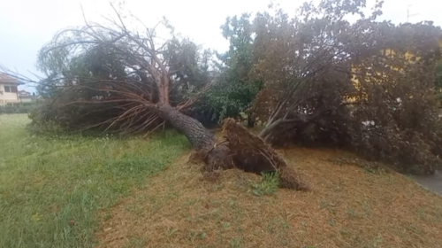 Sicilia. Agricoltura: dalla Regione integrazione salariale per i lavoratori di territori colpiti da calamità naturale