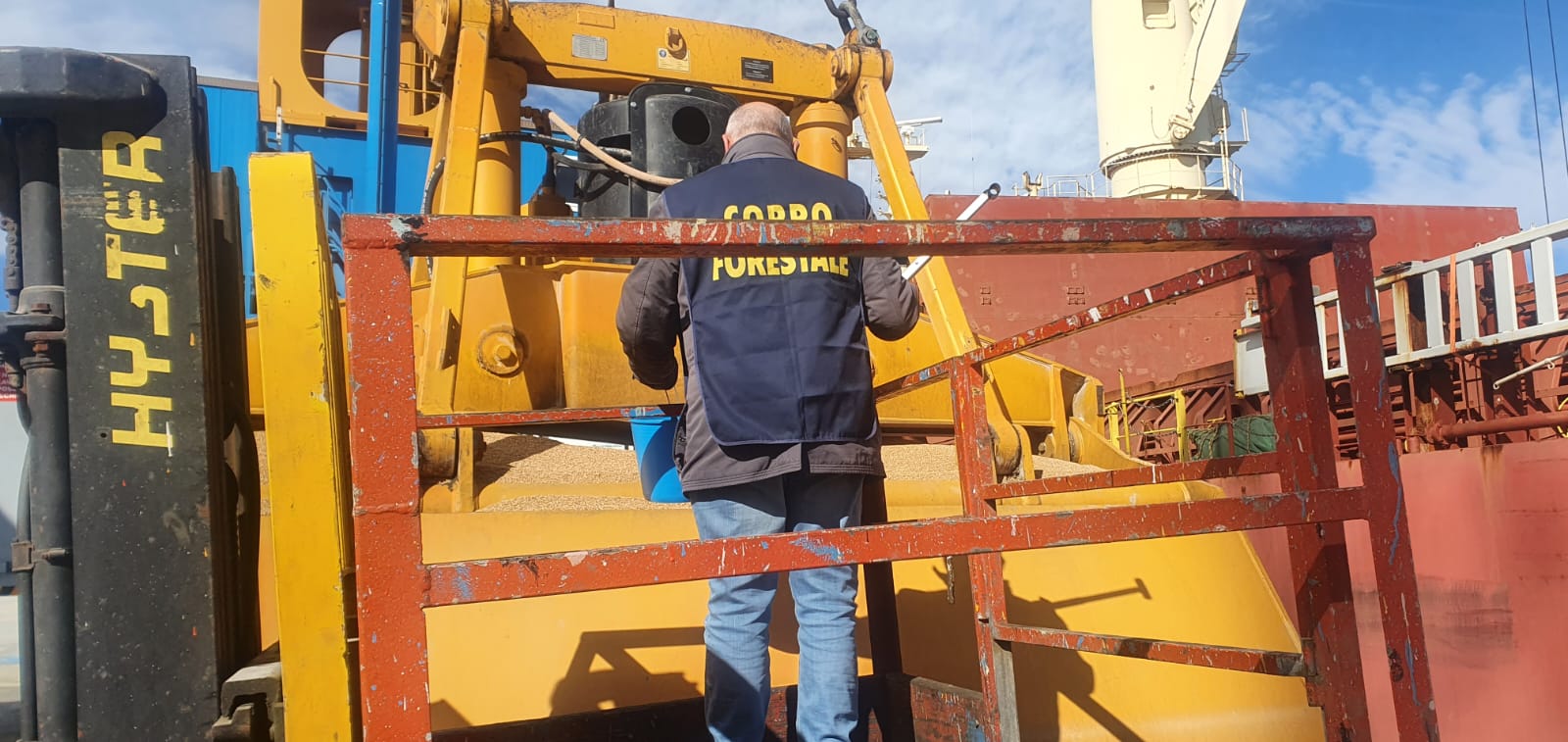 Sicilia, Agroalimentare. La Regione dispone controlli del Corpo forestale sul grano estero in arrivo a Pozzallo