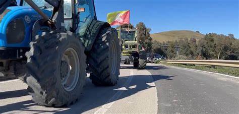 Sicilia. Agricoltura, l’assessore Sammartino: «Vicino ai lavoratori che protestano, presto incontro per raccogliere proposte»