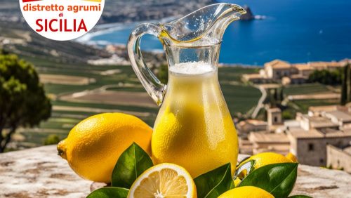 Distretto Produttivo Agrumi di Sicilia: campagna mediatica per promuovere i prodotti locali