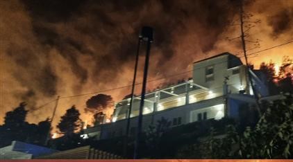 Rogo nel trapanese, brucia montagna a Castellammare: scirocco alimenta fiamme, impossibile decollo canadair