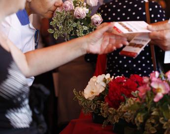 Festival del Verde e Paesaggio, giardinaggio per balconi contro la crisi del clima e riscoperta urbana ‘open air’