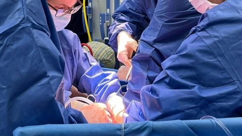 Prelievo multiorgano da  record a Catania su giovane paziente deceduto in seguito a morte cerebrale