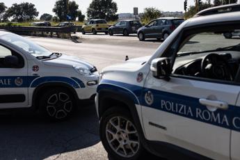 Roma, pino cade su Cristoforo Colombo e colpisce due auto: un ferito
