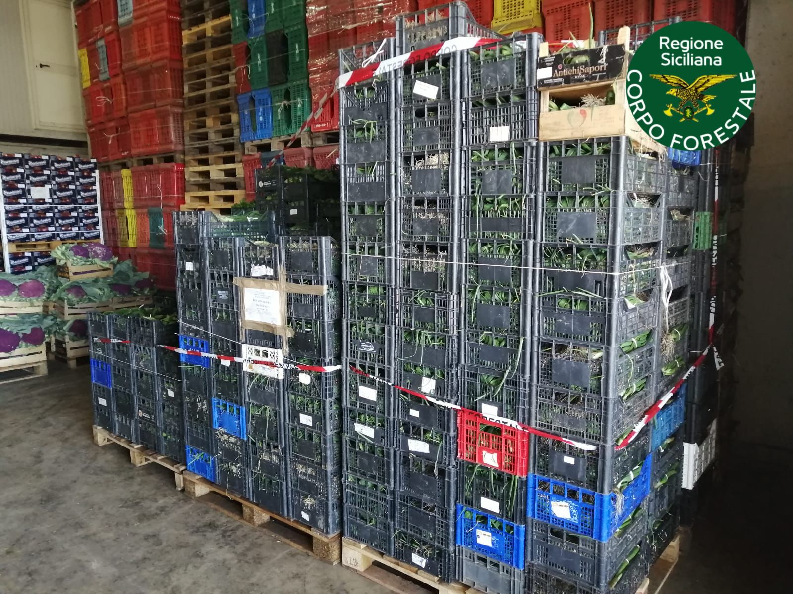 Sicilia. Grano e prodotti ortofrutticoli: controlli del Noras a Pozzallo su navi. Sammartino e Pagana: «Impegno a tutela di consumatori e agricoltori»