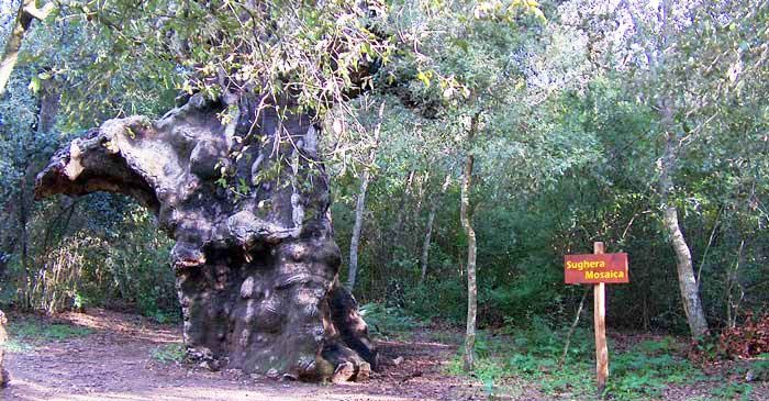 Il 23 e 24 marzo il Fai Caltanissetta promuove due Giornate dedicate al patrimonio culturale e paesaggistico