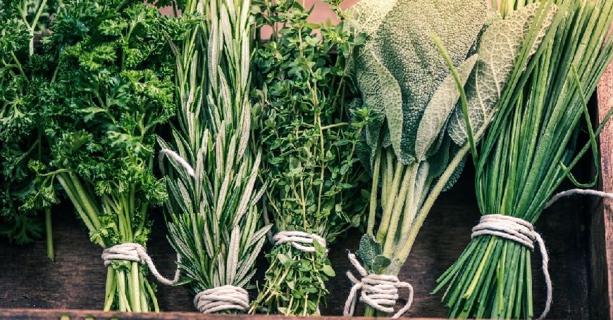 Caltanissetta. Il 23 e 24 marzo Corso di riconoscimento delle erbe commestibili siciliane