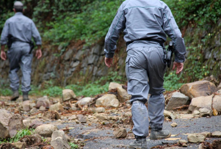 Forestali Sicilia, inserimento nelle graduatorie entro il prossimo 15 maggio