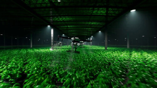 L’intelligenza artificiale si fa strada nell’industria alimentare