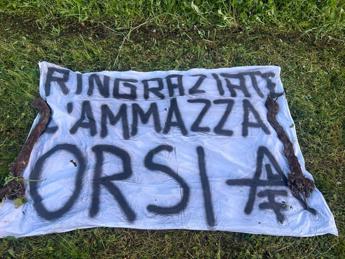 “Ringraziate l’ammazza orsi”, danni per 60mila euro alla vigna dei familiari di Fugatti