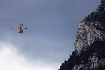 Taglia alberi nel bosco, 64enne muore schiacciato nel Bergamasco