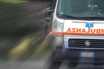 Udine, auto finisce contro un platano: muore bambina di 11 anni, grave la sorellina