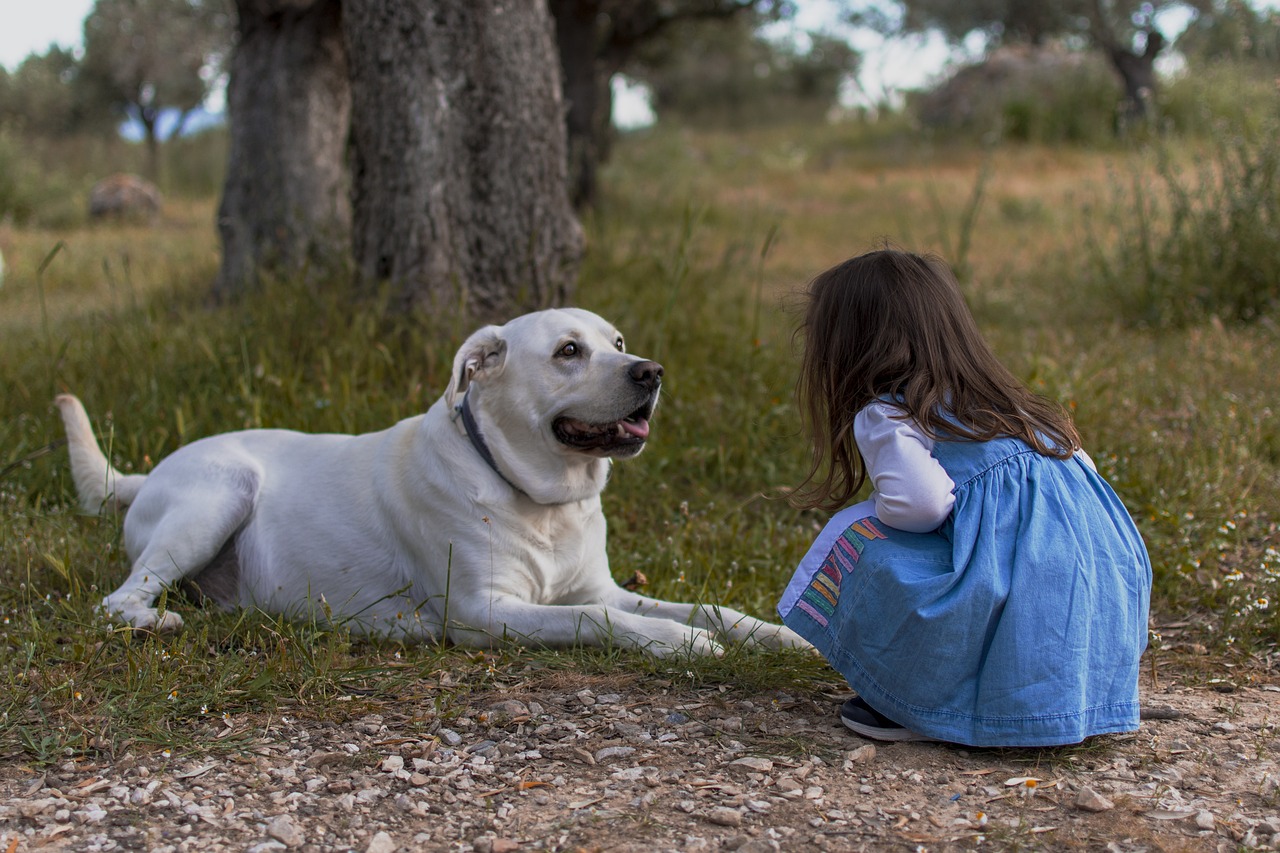 Gli animali come alleati per la salute: pet therapy, importanza e definizione