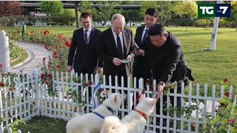 Due cani per Putin, Kim regala una coppia di Pungsan al leader russo
