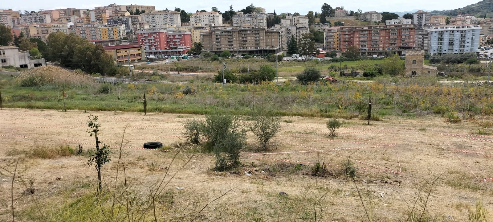 Orti urbani al Parco Rosario Assunto: entro l’8 luglio i cittadini potranno chiedere l’assegnazione di un lotto