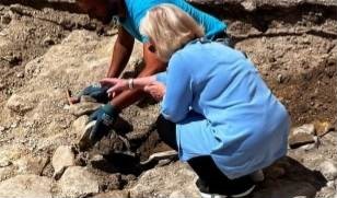 Caltanissetta. Necessità di sorveglianza archeologica a Largo Barile