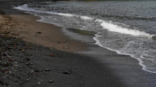 Allergico alla puntura delle vespe, viene punto in spiaggia e muore nonostante tenti di lanciarsi in acqua