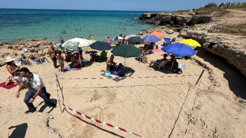 WWF. Nuovo nido di tartaruga Caretta caretta a Torre Pozzillo a Cinisi